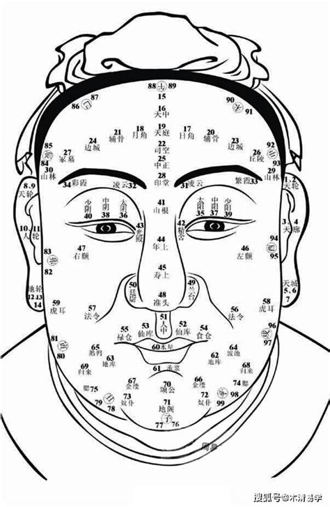 眉毛面相學|面相入门